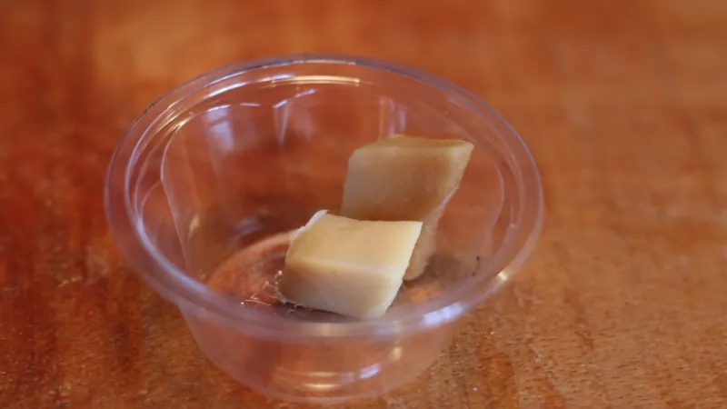 Hákarl – Lo squalo fermentato