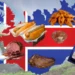 piatti tipici islandesi