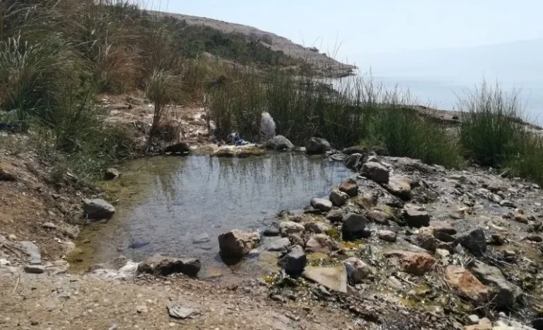 pozza acqua dolce mar morto