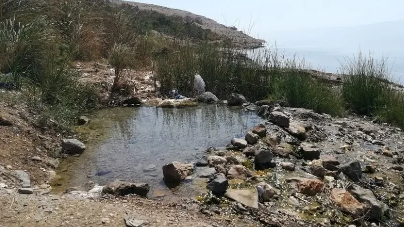 pozza acqua dolce mar morto