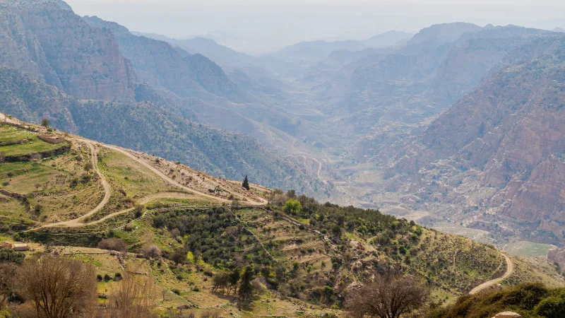 riserva naturale di dana