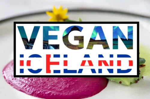 vegan iceland