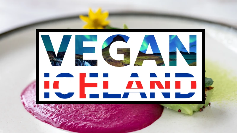 vegan iceland