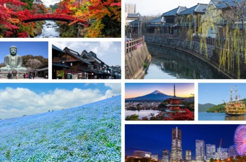 copertina escursioni da tokyo