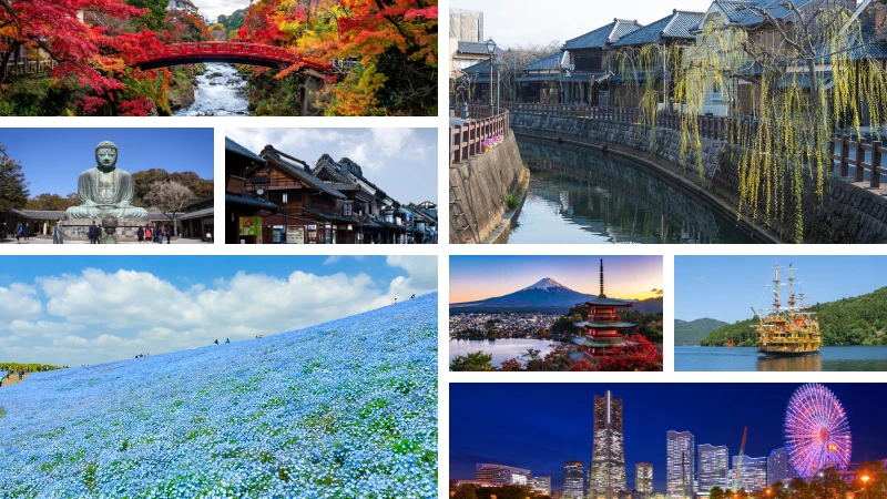 copertina escursioni da tokyo