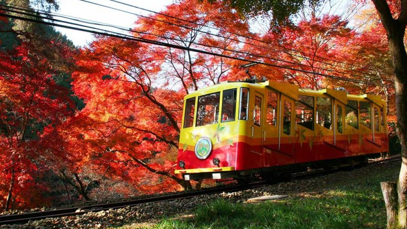monte takao
