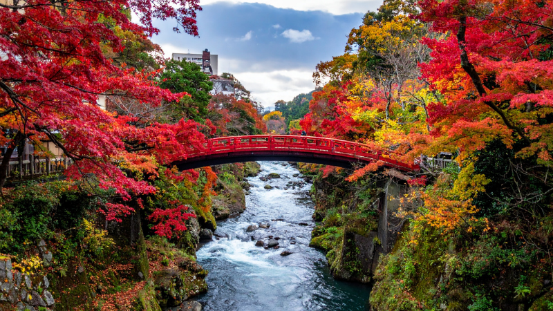nikko_