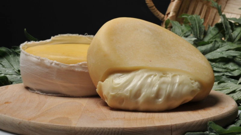 Queijo da Serra da Estrela