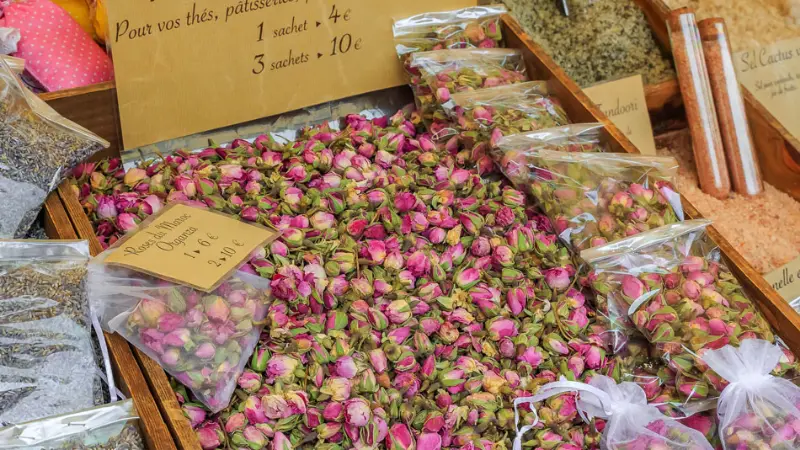 rosa del marocco