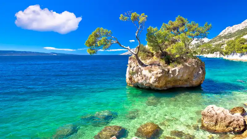 Spiaggia di Punta Rata Brela Croazia