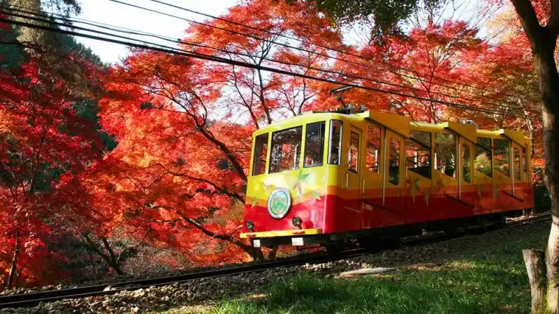 escursioni da tokyo monte takao