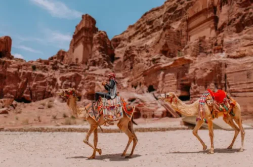 giordania in 5 giorni cammelli petra