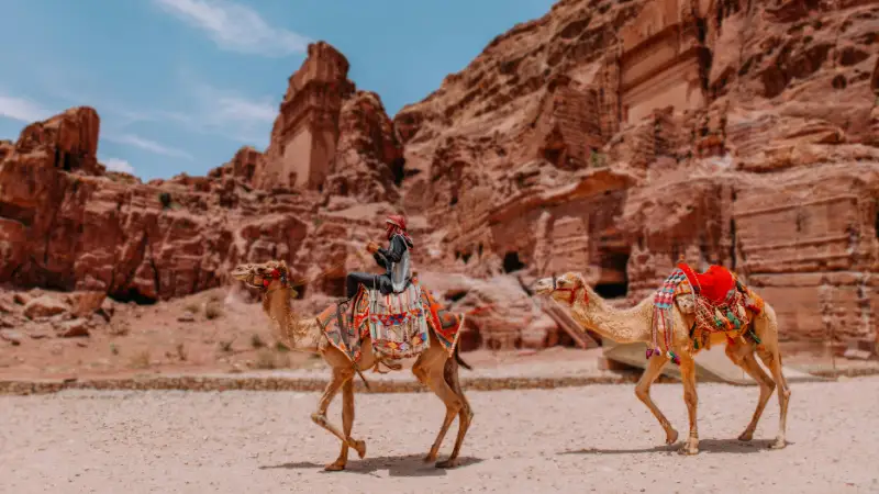 giordania in 5 giorni cammelli petra